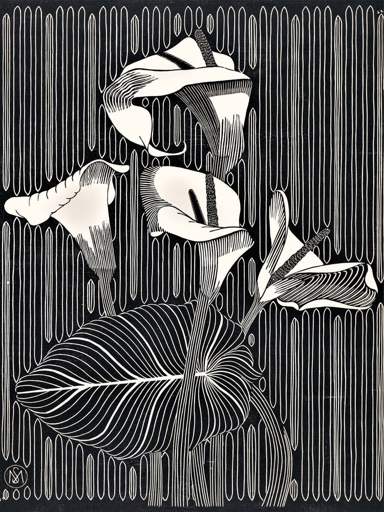 Arums by Samuel Jessurun de Mesquita (1919)
