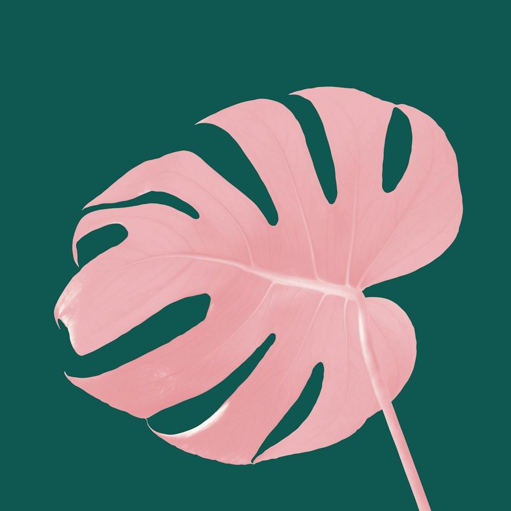 Garden leaf 2