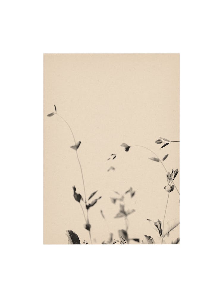 Nature Mix And Match 18