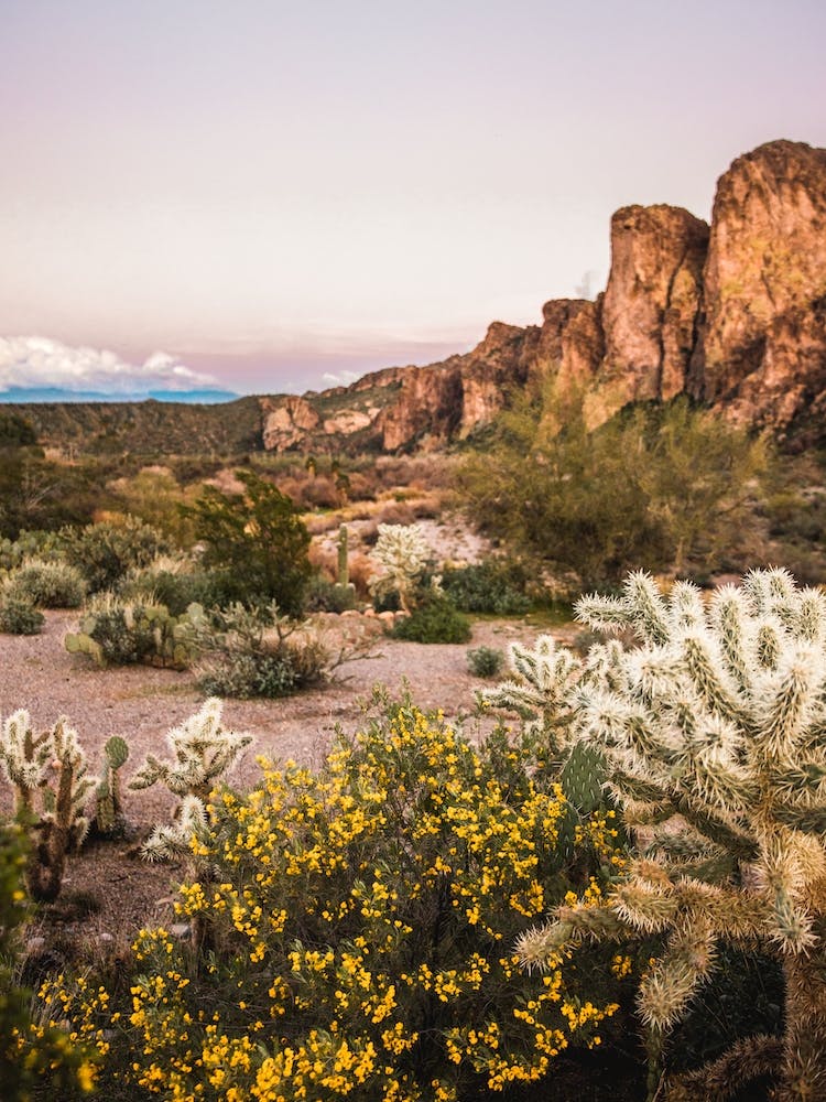 Desert Mountain Sunset