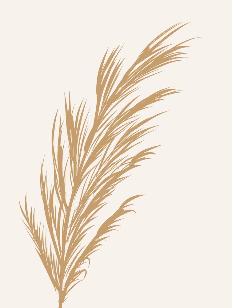 Neutral Pampas Grass
