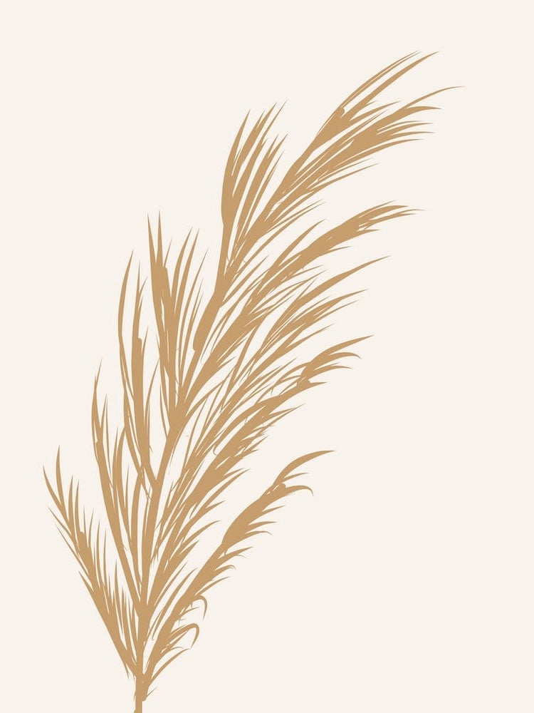 Neutral Pampas Grass