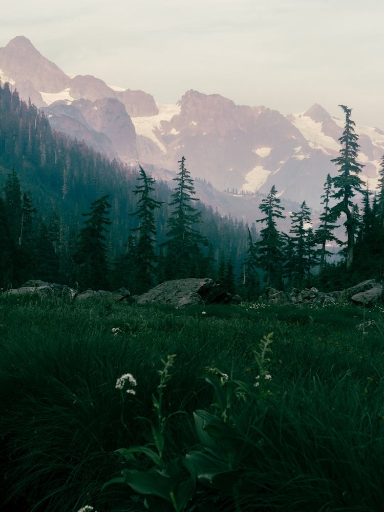 North Cascades