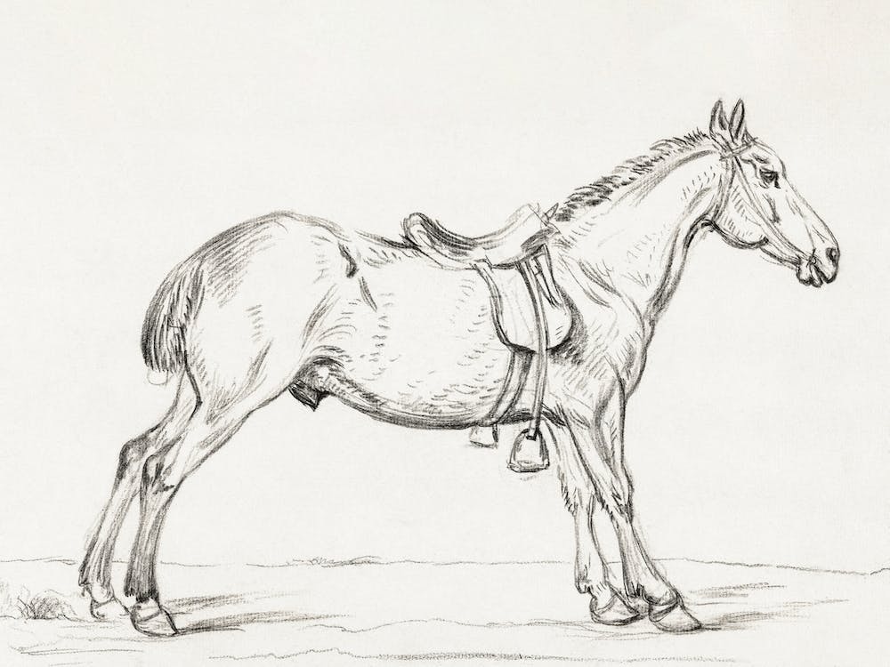 Saddled Horse, Jean Bernard