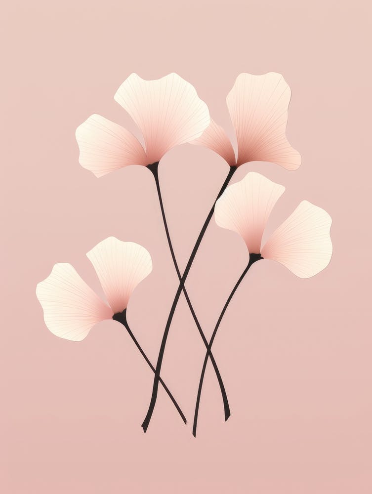 Pink Flowers On A Pink Background