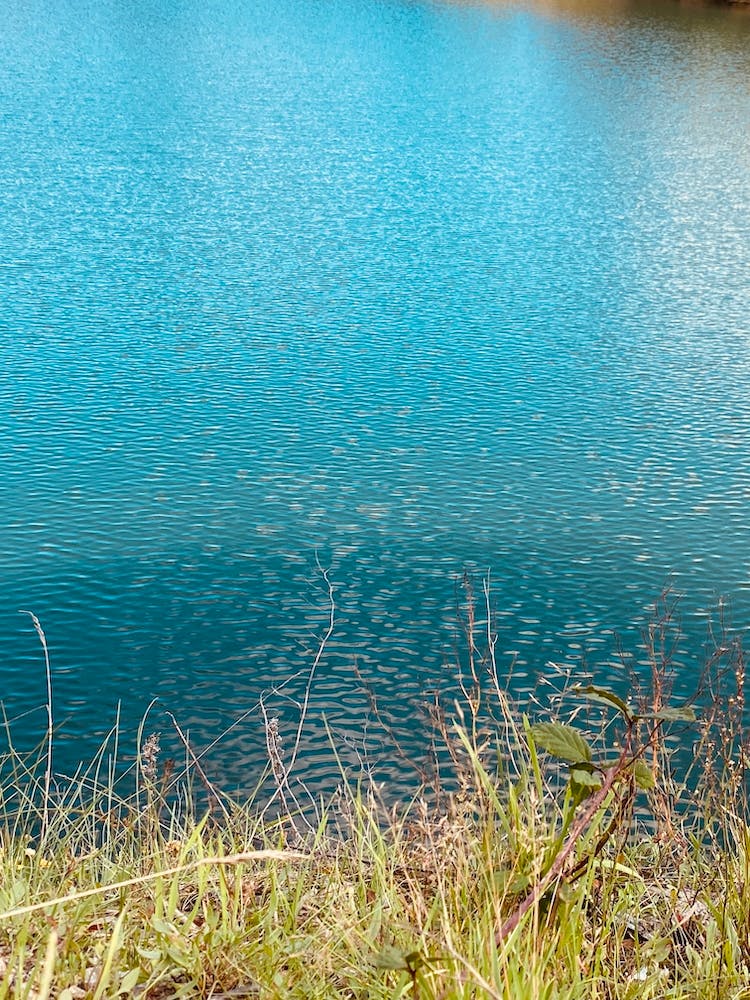 85de61f4 D147 4904 9260 1800d2bd40b9