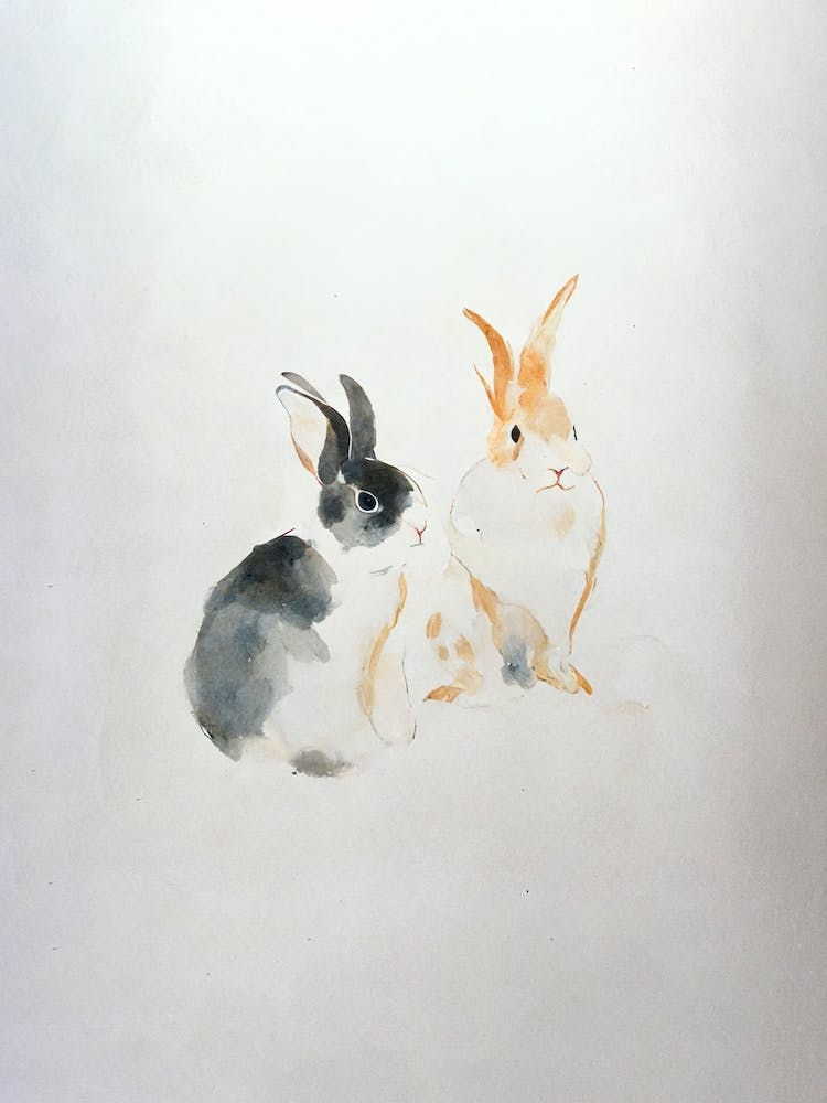 Chinese New Year Of The Rabbit 3