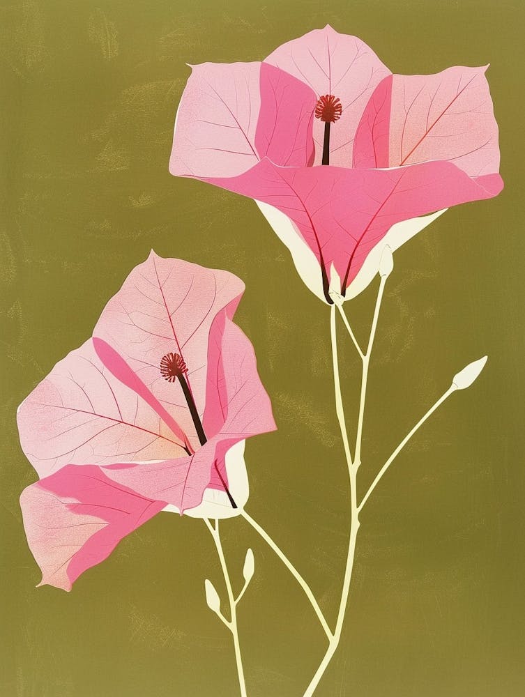 Pink & Green Bougainvillea 2