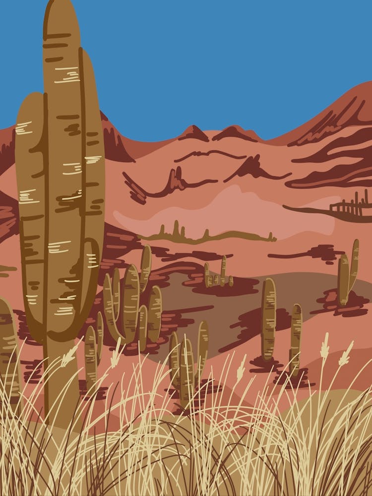 Cactus Desert Landscape
