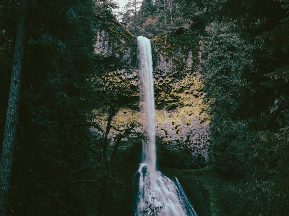 Pup Creek Falls
