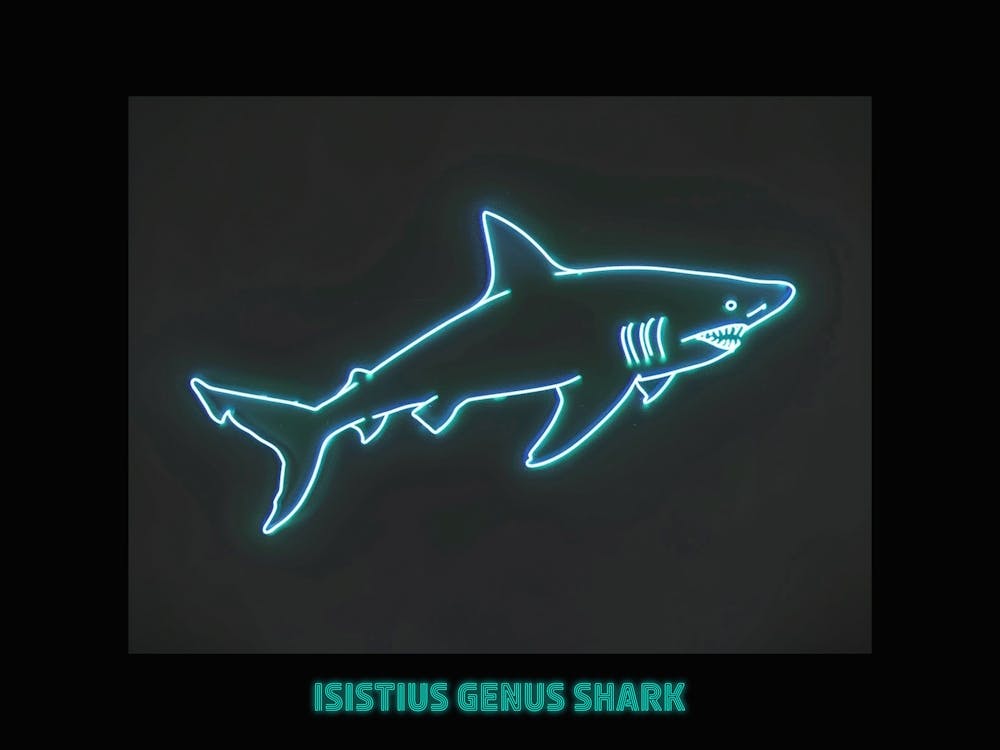 Neon Isistius Genus Shark 5 Poster