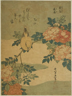 Warbler And Roses, Katsushika Hokusai