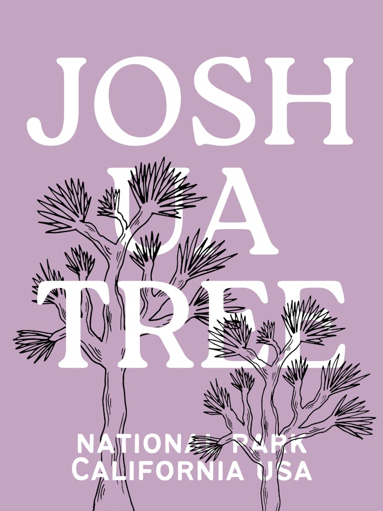 Joshua Tree National Park | California Desert Travel Landscape Scenery 2