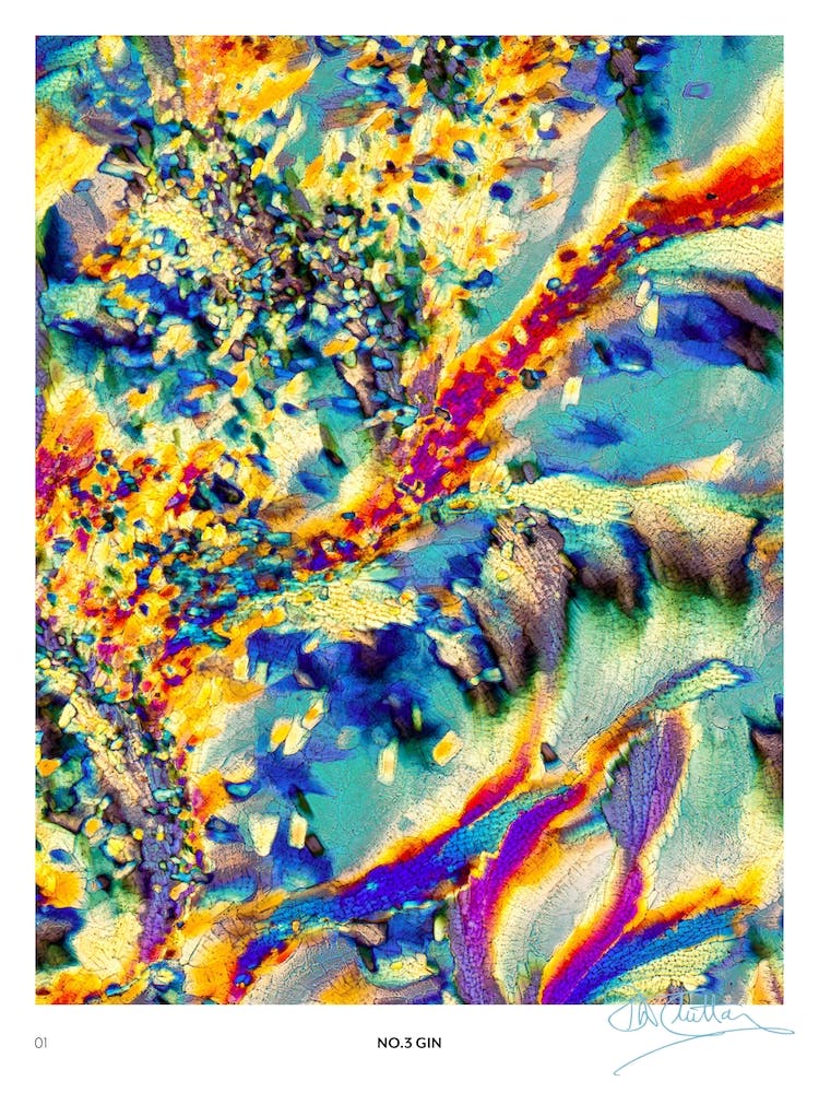 No 3 Perfection Prints Gin