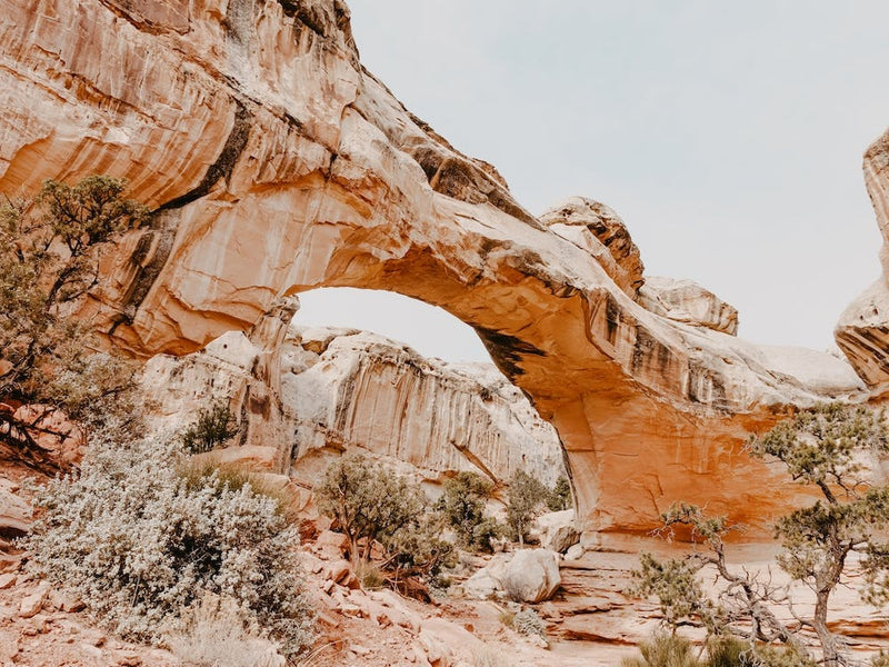 Desert Rock Arch