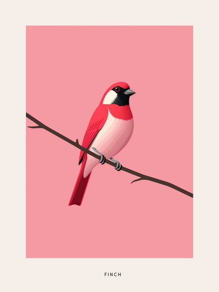 Minimalist Finch 1 Bird Poster