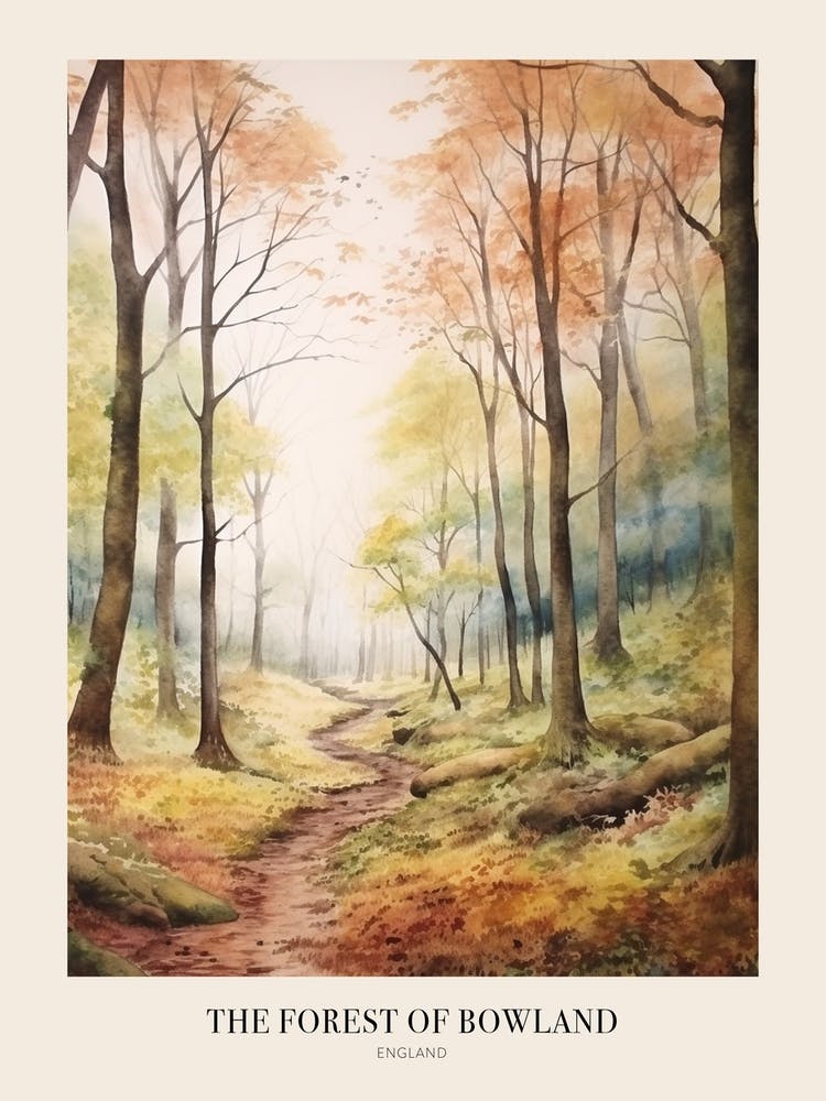 Autumn Forest Landscape The Forest Of Bowland England Poster