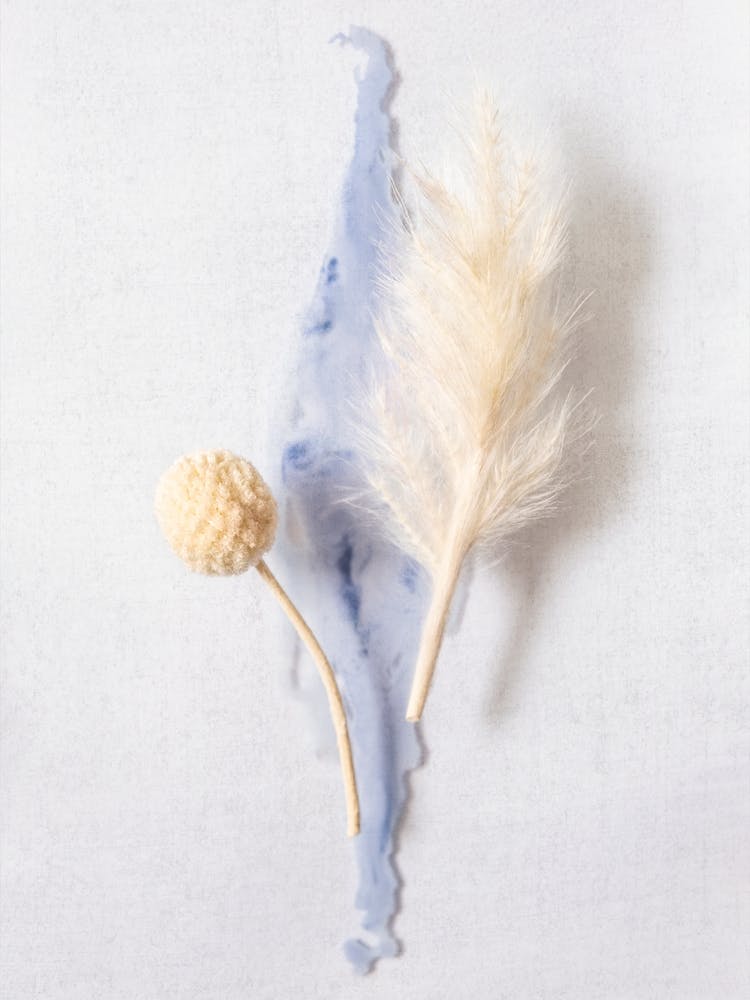 Earthy Botanics On Blue