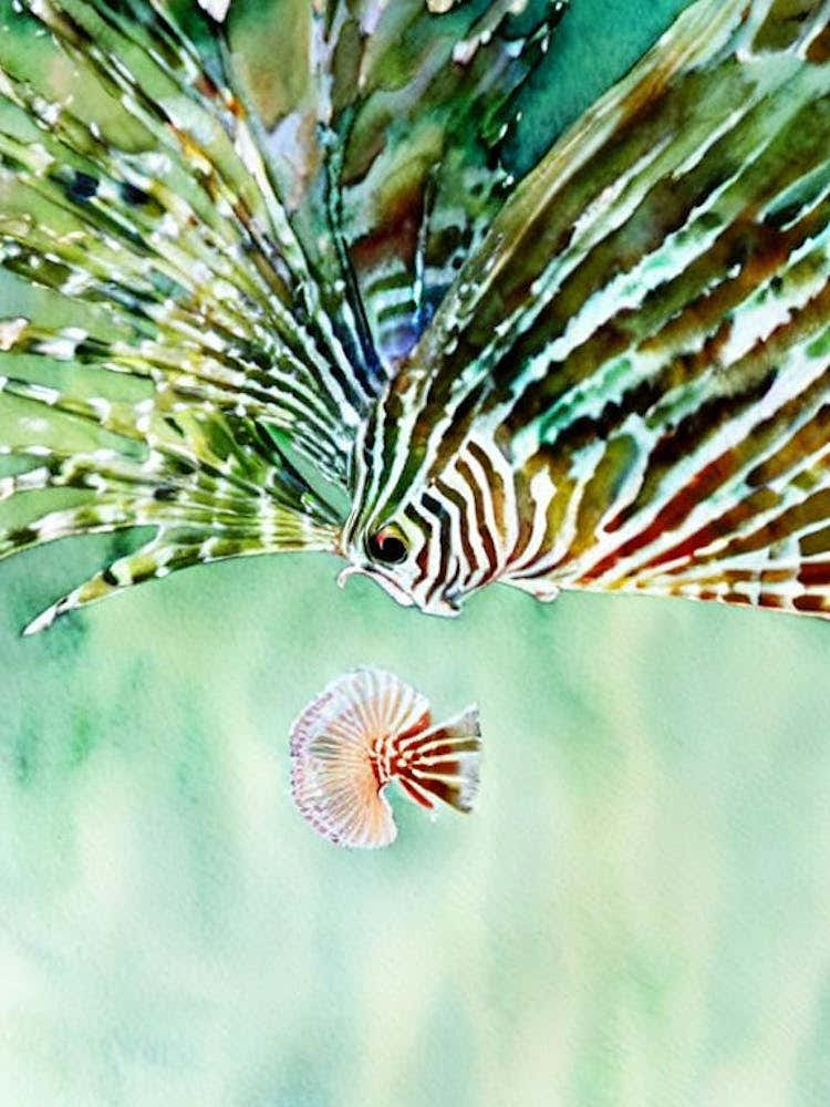 Lionfish II Storybook Watercolour
