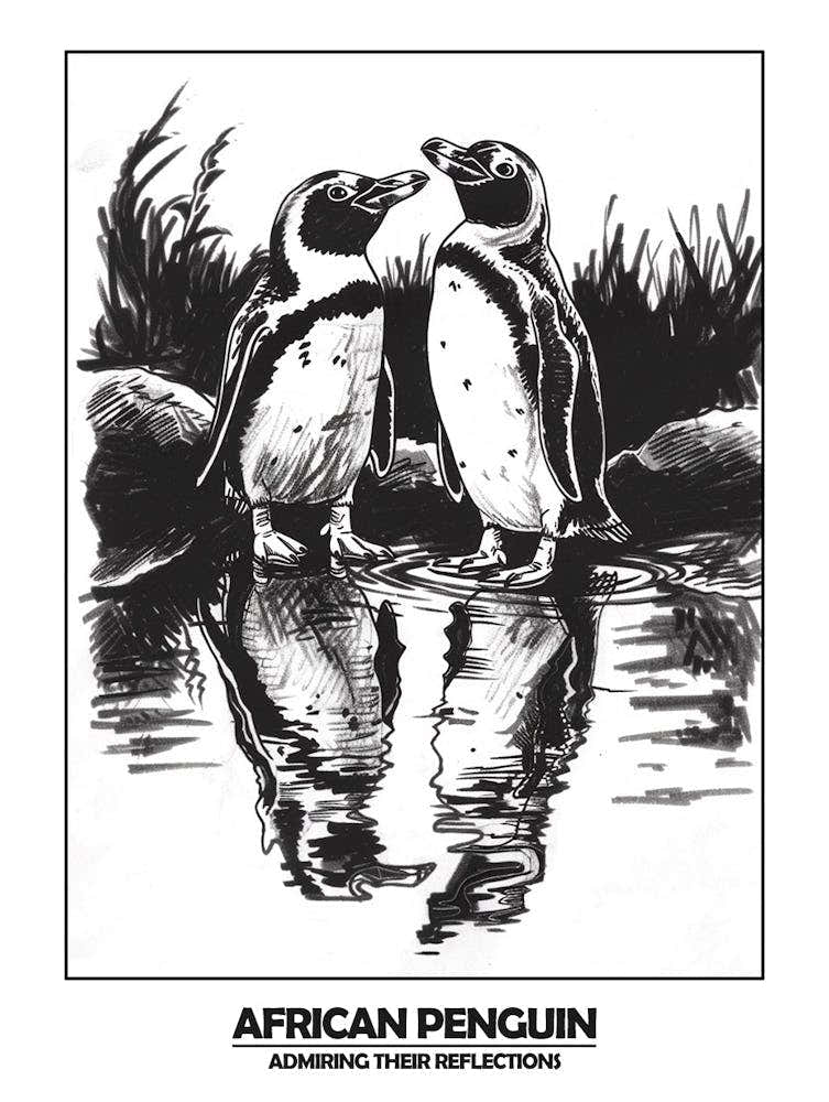 Penguin Admiring Their Reflections Poster 1
