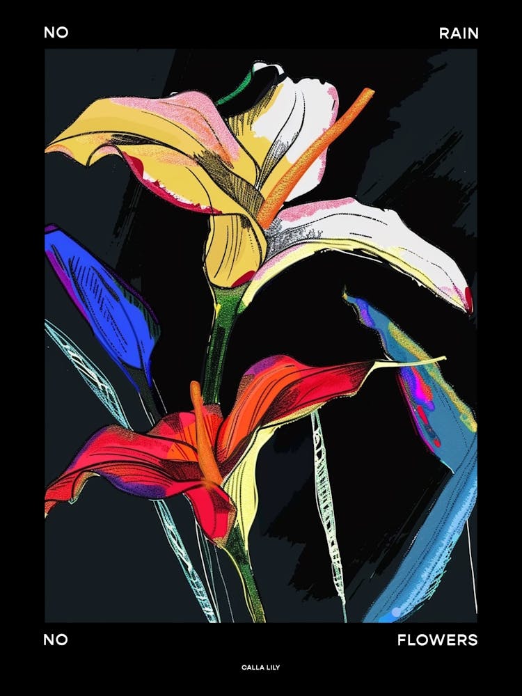 No Rain No Flowers Poster Calla Lily 1