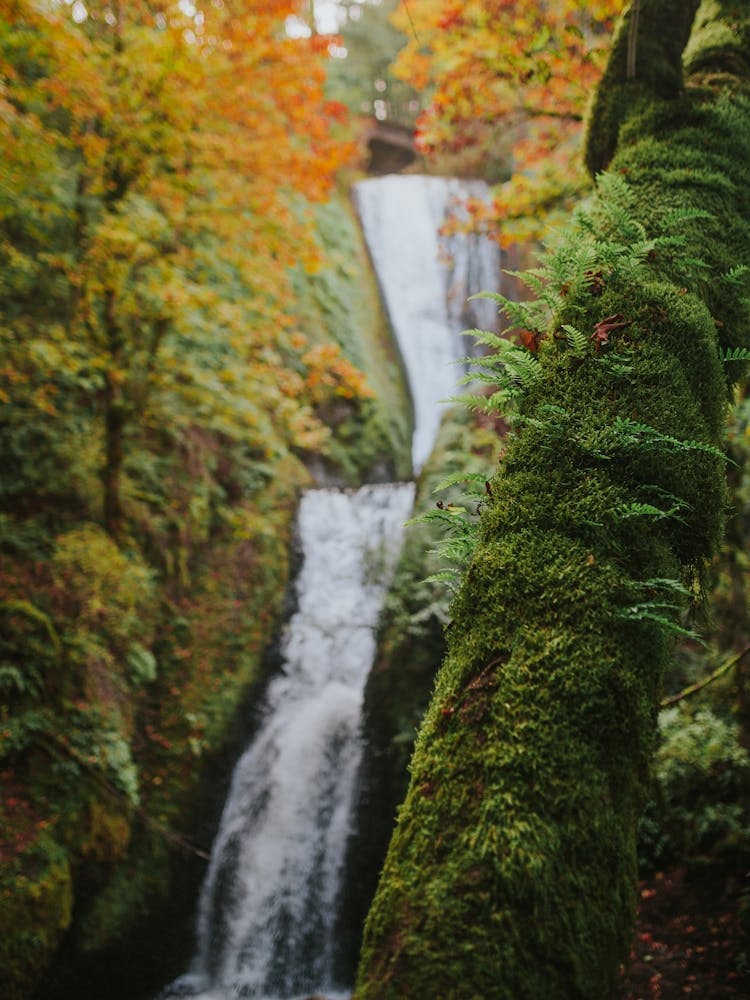 Fall Waterfall