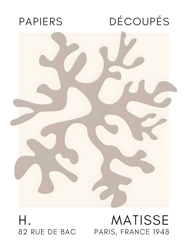 Matisse 20