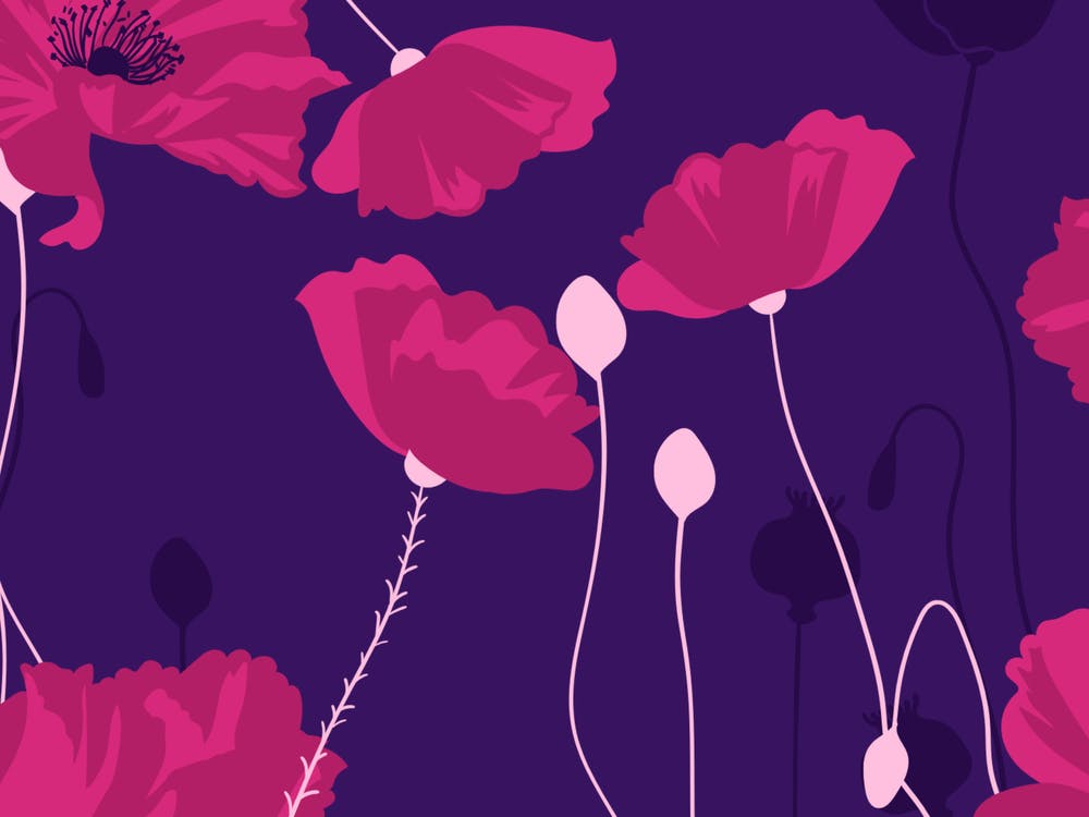 Poppies On Purple Background