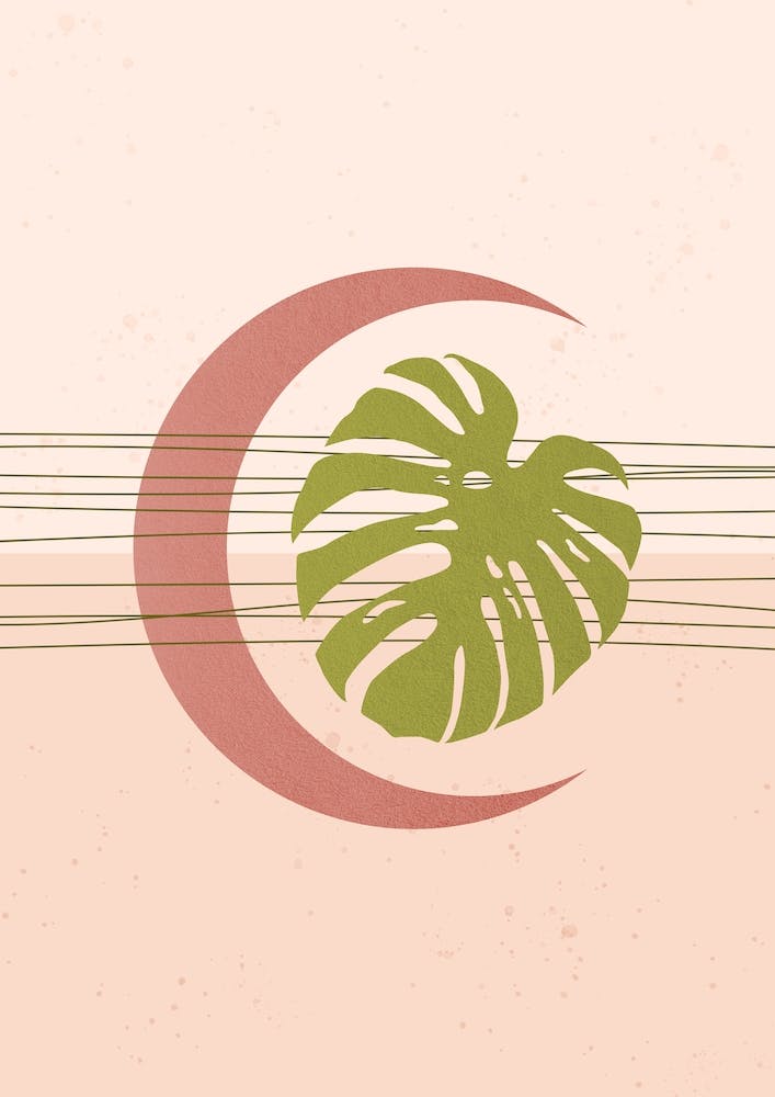 Moon And Monstera