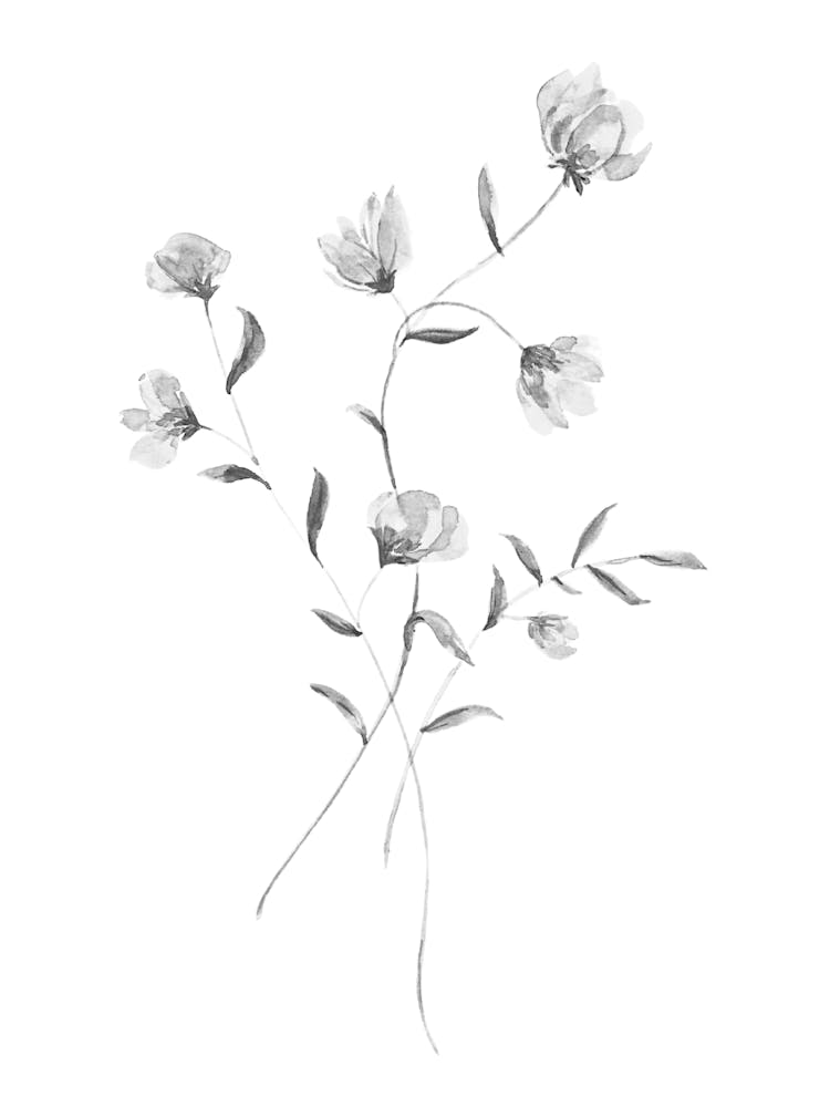 Black And White Flowers 38