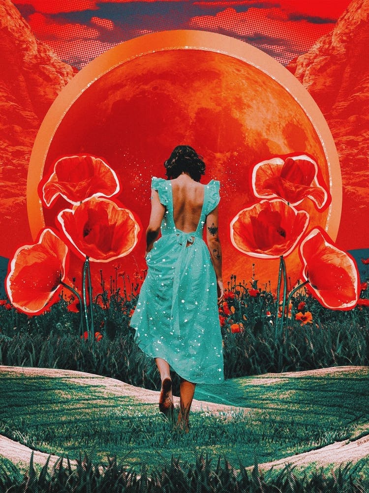 Surreal Moon Sun Poppies Collage