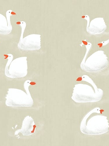 Flock Of Geese