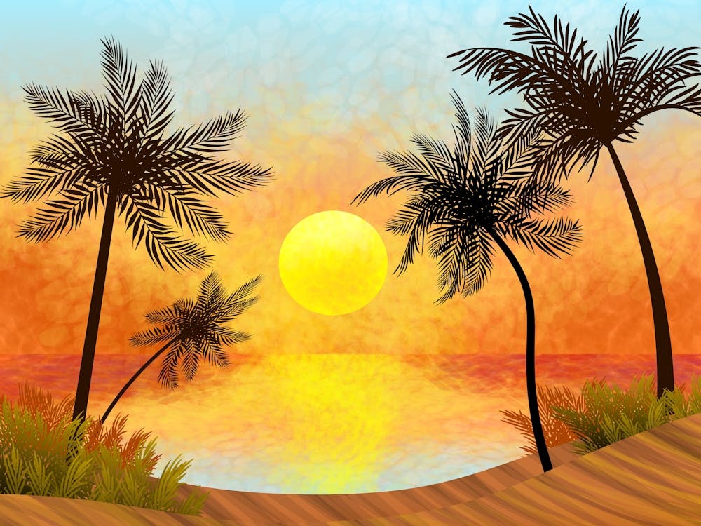 Landscape Illustration Sun Sky Beach Sea Summer Palm Trees Trees Silhouettes Sand Sunset