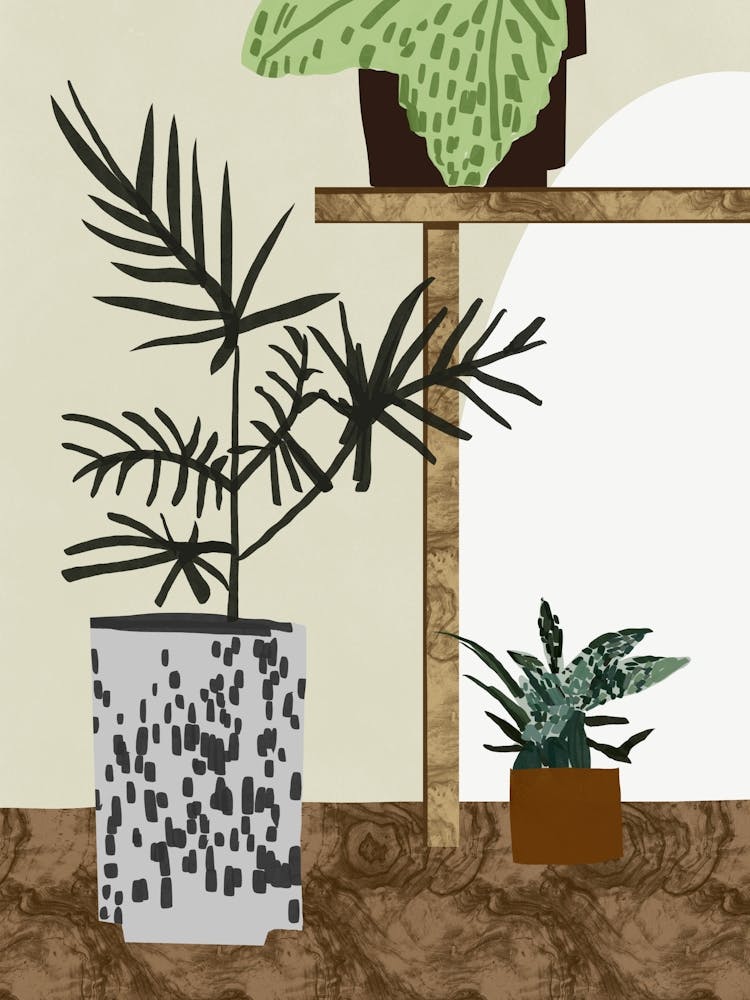 Houseplants