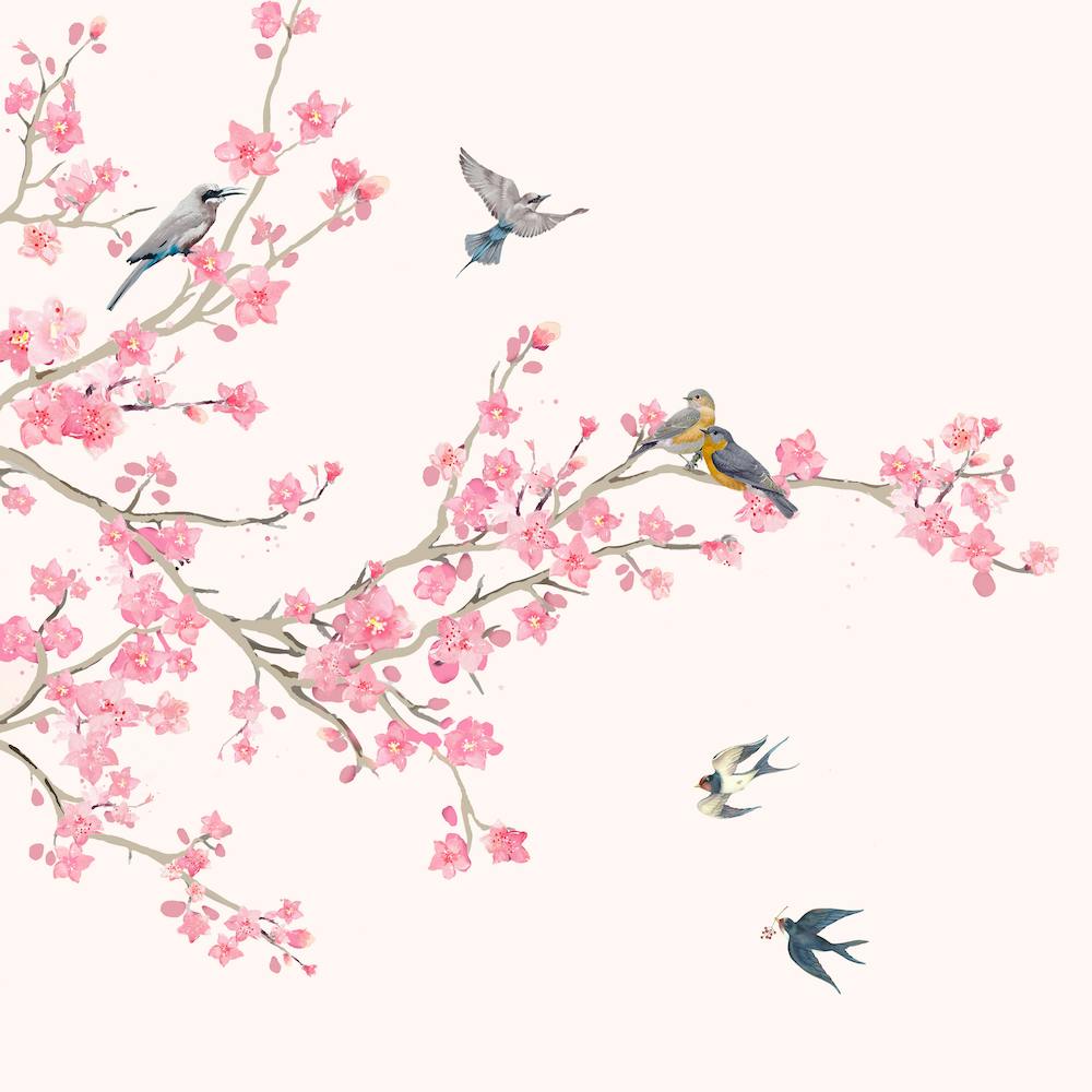 Birds And Cherry Blossoms
