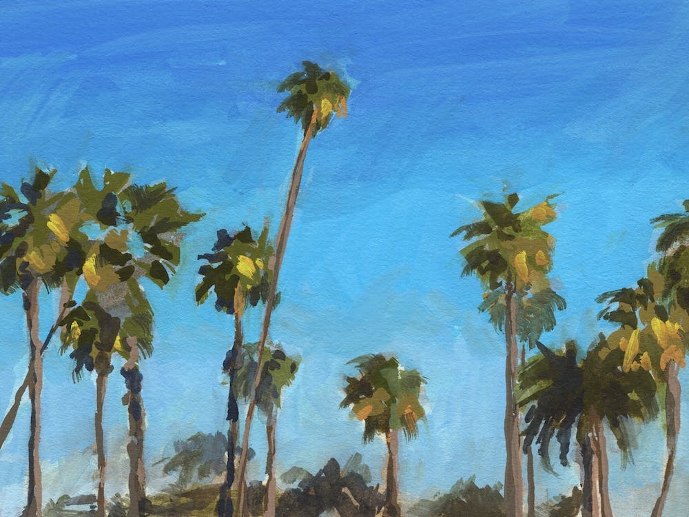 La Palms