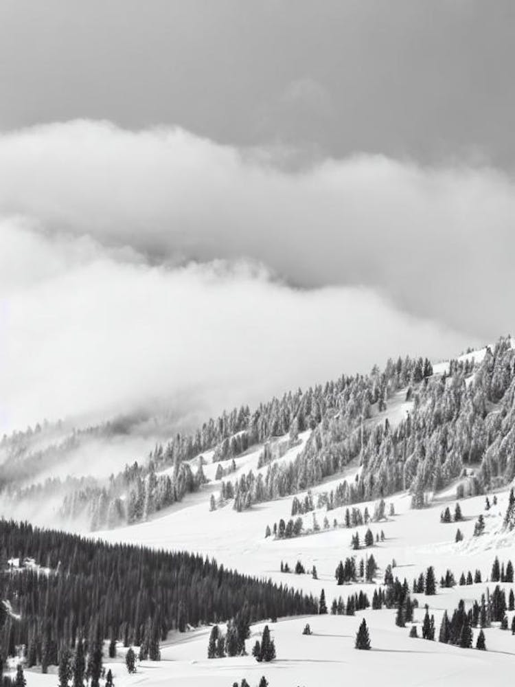 Heavenly, Usa Black And White Skiing Poster