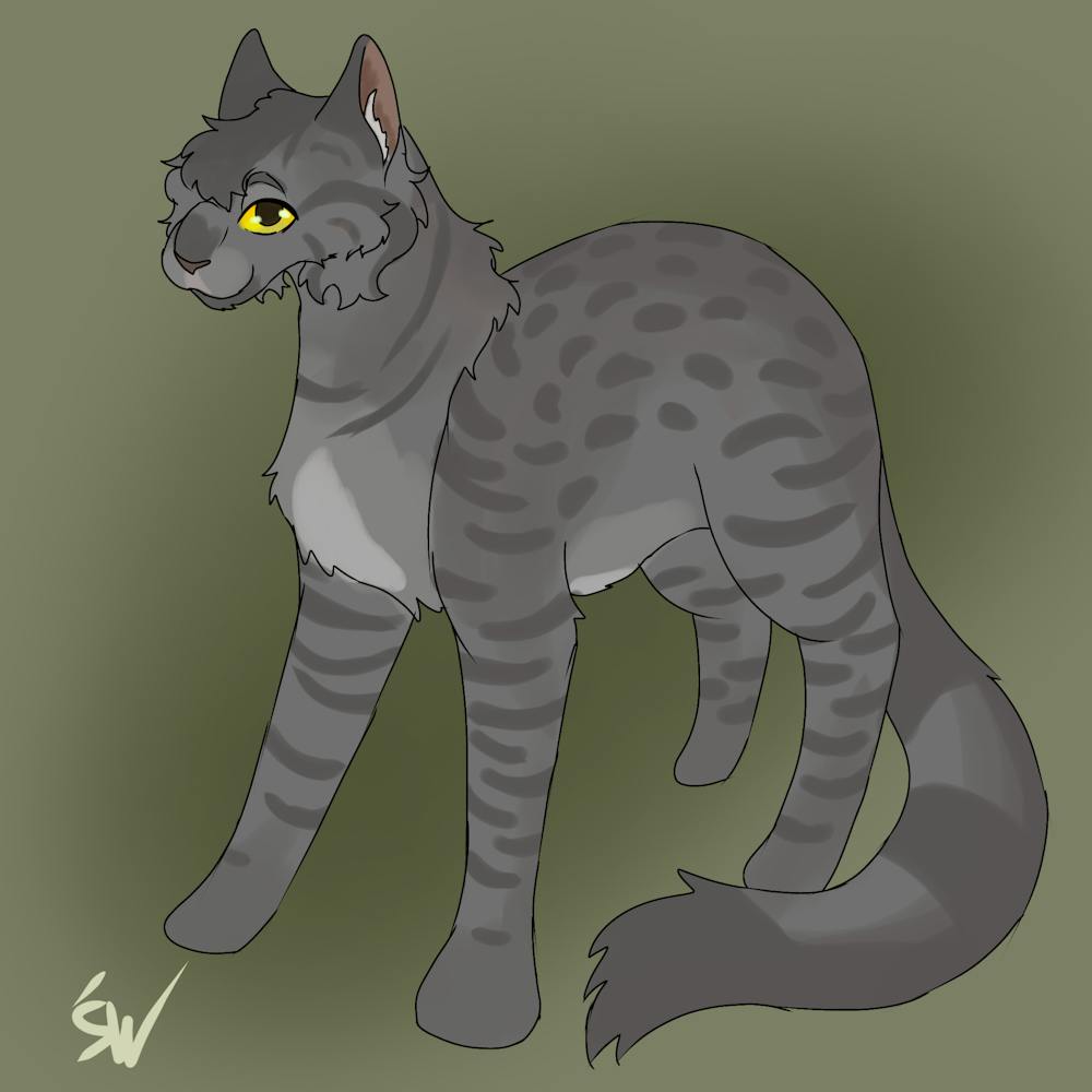Grey Cat With Yellow Eyes