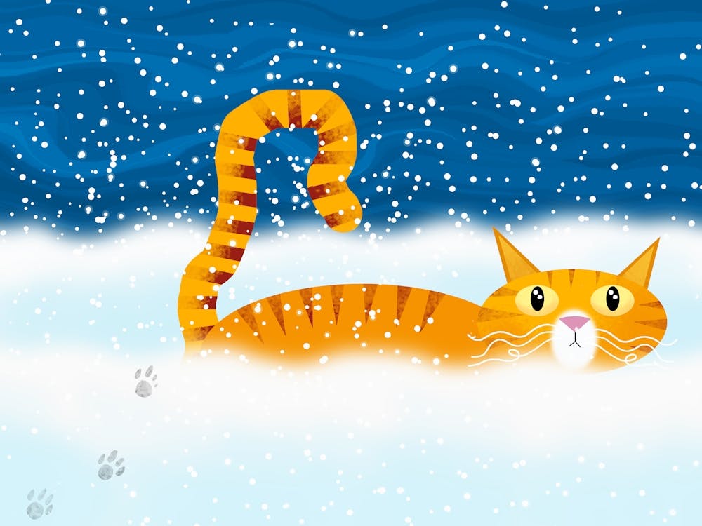 Orange Cat in Snow