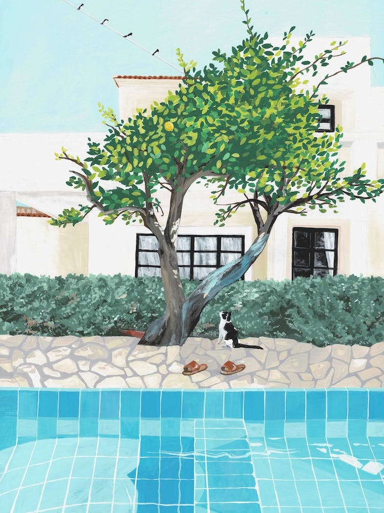 Zone Out Pool