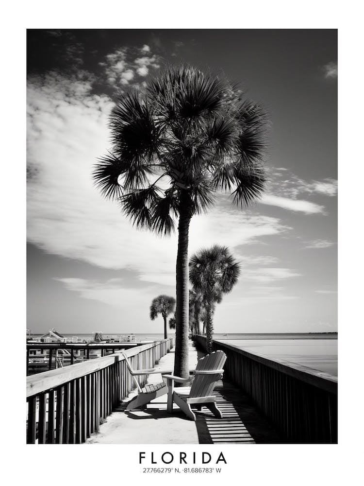 Poster Of Florida, Black And White Analogue Photograph 3