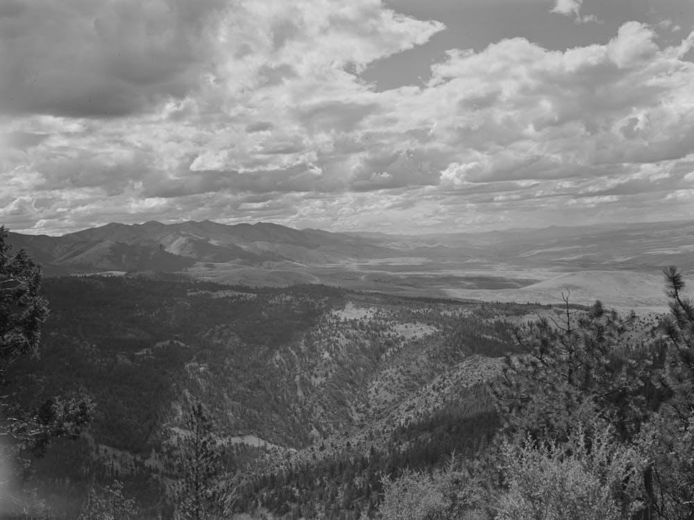Grant County, Oregon, Malheur National Forest By Russell Lee 1