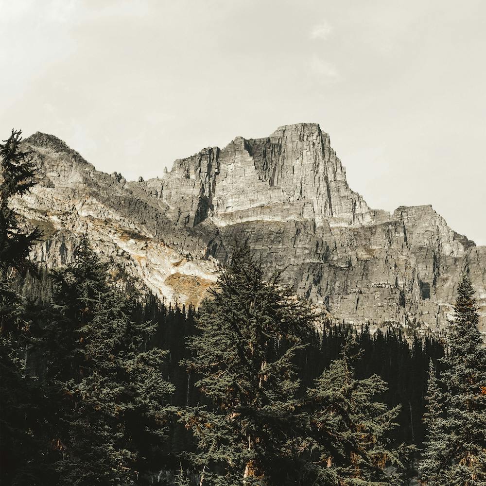 Mountain Forest Square