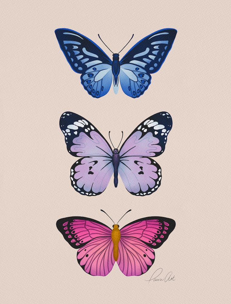 Butterfly Wings