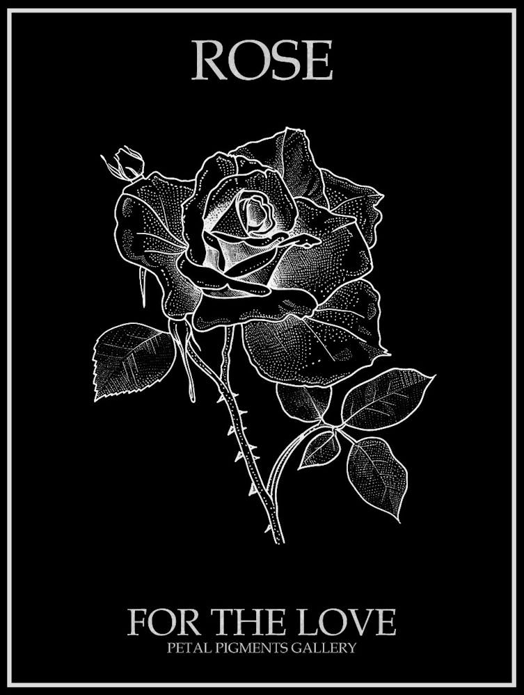 Rose Line Drawing 1 Poster Inverted