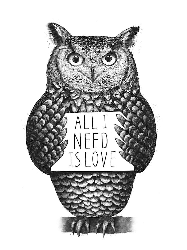 Owl With Love
