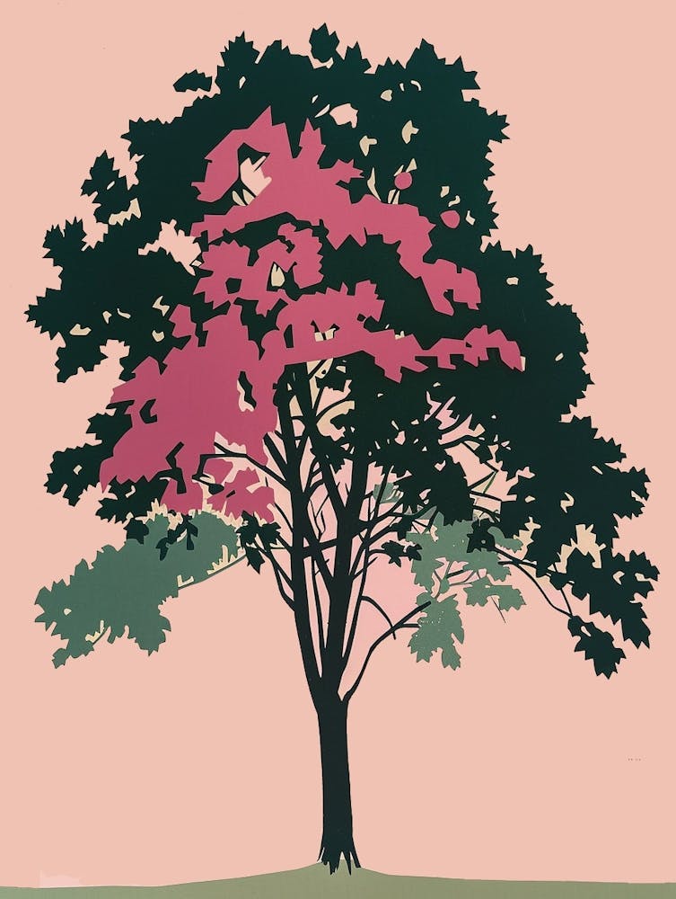 Beech Tree Colourful Illustration 4