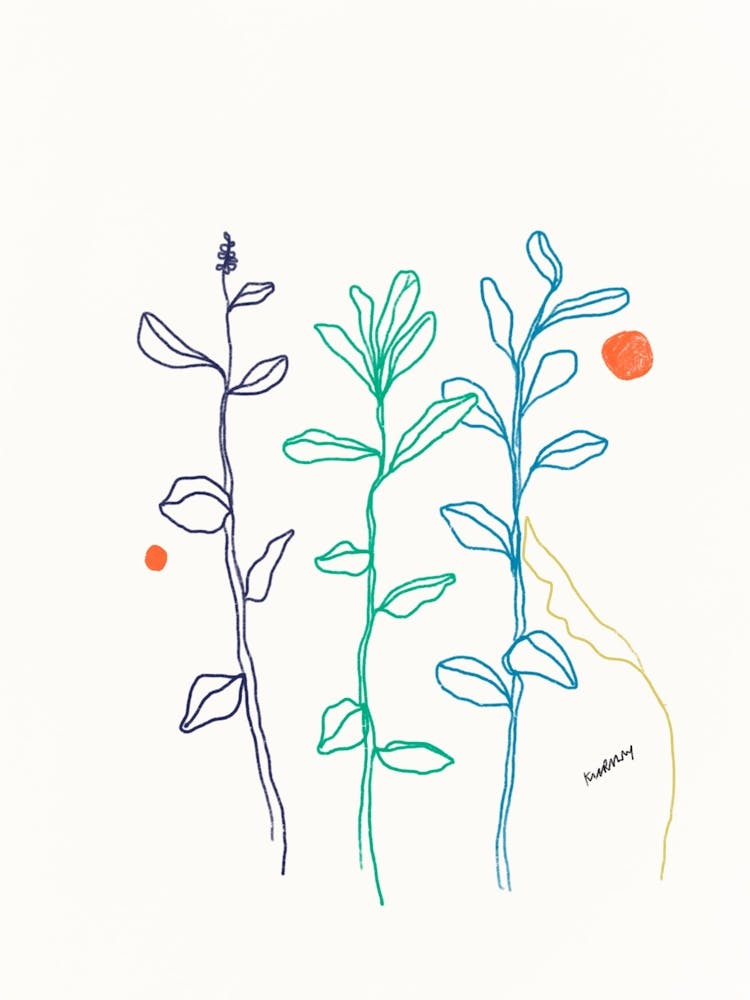 Colorful Minimalistic Leaves