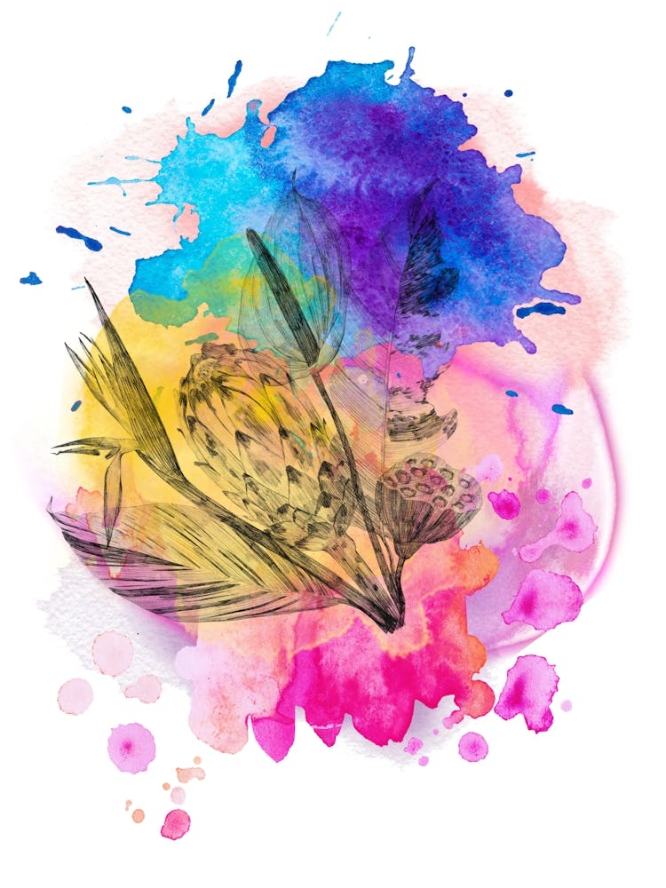 Watercolor bouquet of black flowers