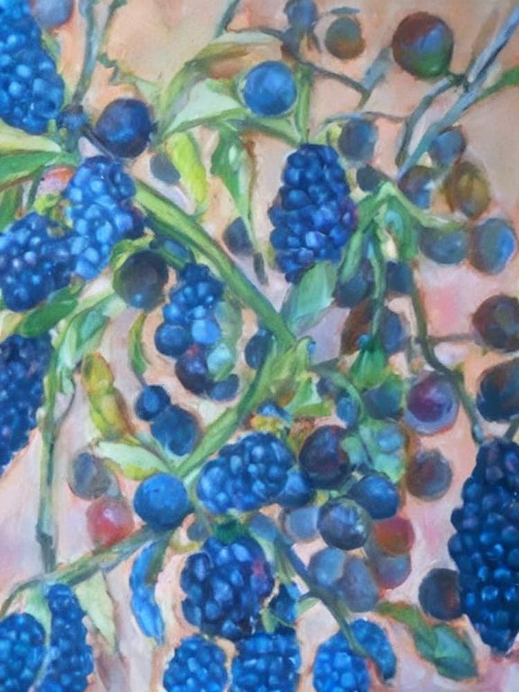 Loganberry 3 Classic Fruit